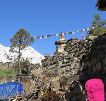 Tsum Valley and Manaslu Trek