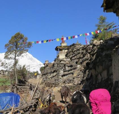 Tsum Valley and Manaslu Trek