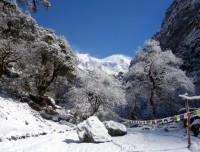 Langtang Trekking / Trekking in Nepal