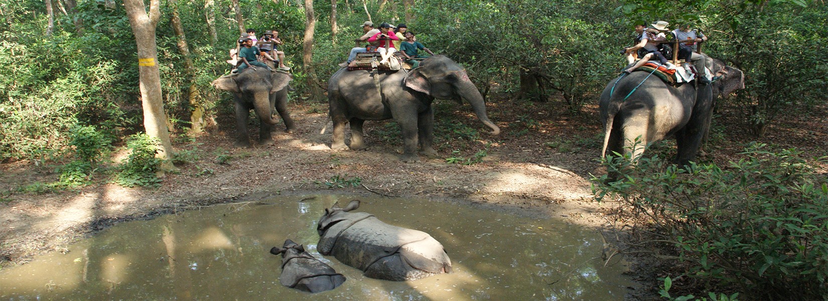 Chitwan Tour Nepal