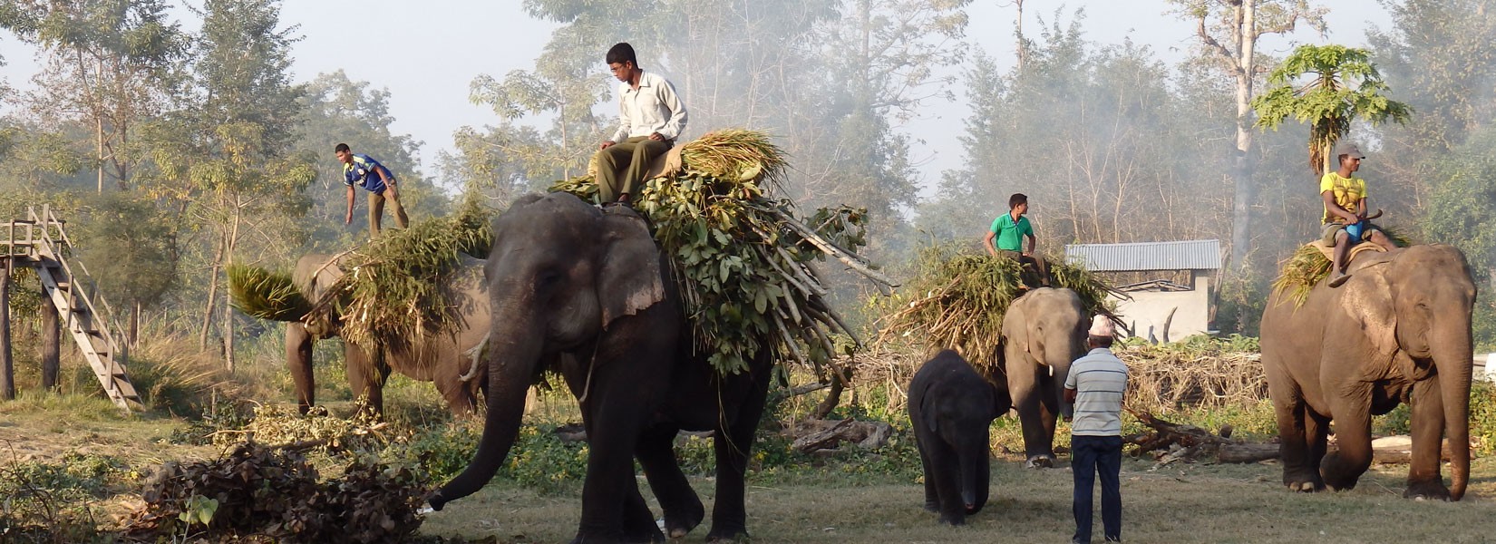 Kathmandu Pokhara Lumbini Chitwan Tour