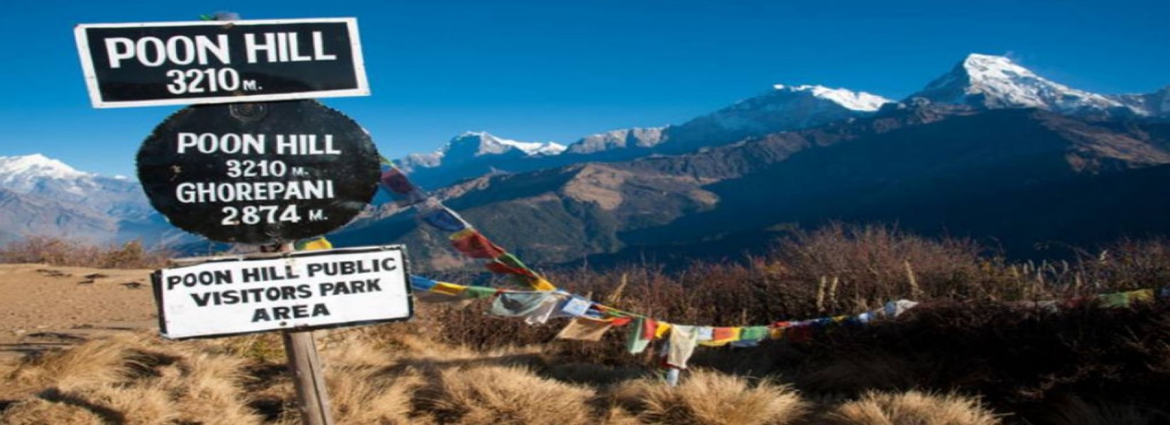 5 reasons  to choose Ghorepani poon hill trek